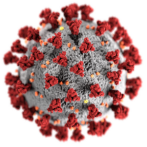 Coronavirus